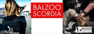 Balzoo Scordia foto